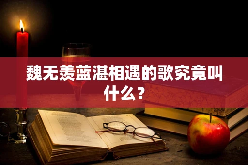 魏无羡蓝湛相遇的歌究竟叫什么？