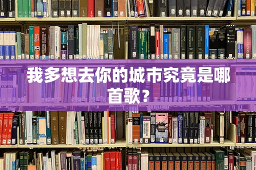 我多想去你的城市究竟是哪首歌？