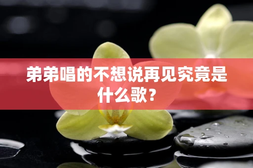 弟弟唱的不想说再见究竟是什么歌？