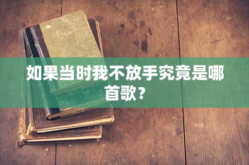 如果当时我不放手究竟是哪首歌？