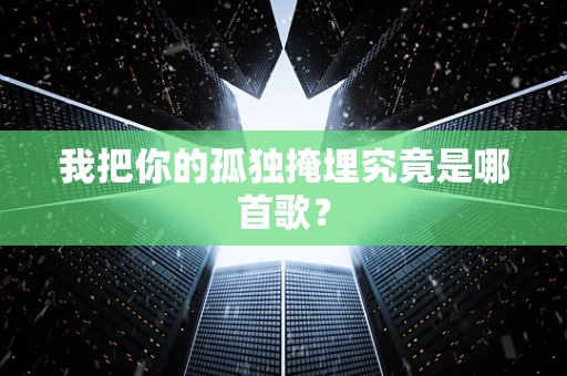 我把你的孤独掩埋究竟是哪首歌？