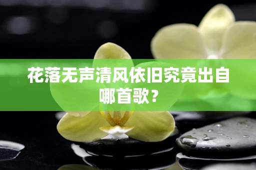 花落无声清风依旧究竟出自哪首歌？