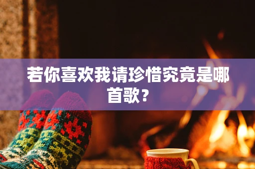 若你喜欢我请珍惜究竟是哪首歌？