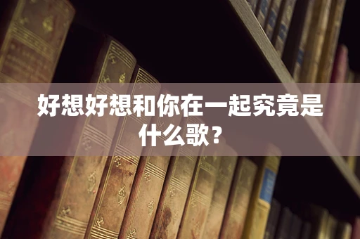 好想好想和你在一起究竟是什么歌？