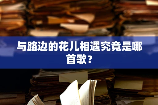 与路边的花儿相遇究竟是哪首歌？