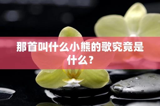 那首叫什么小熊的歌究竟是什么？