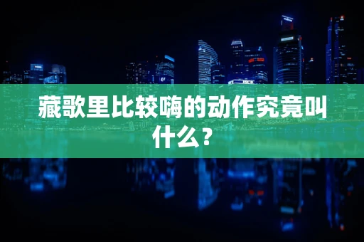 藏歌里比较嗨的动作究竟叫什么？